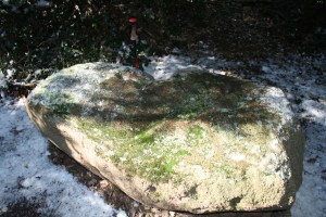Pedra amb inscultures de Collserola