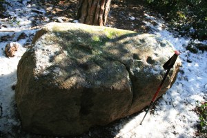 Pedra amb inscultures de Collserola
