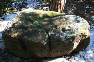Pedra amb inscultures de Collserola