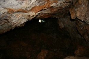 Cova de l'Olla (Aiguaviva, El Montmell)