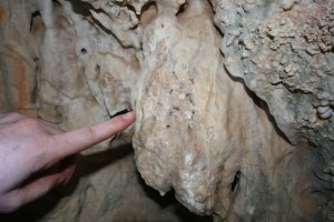 Cova de l'Olla (Aiguaviva, El Montmell)