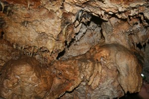 Cova de l'Olla (Aiguaviva, El Montmell)