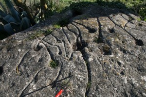 Inscultures de Sant Esteve de Ferriols