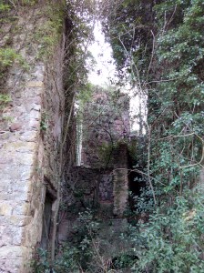 Runes del Molí de la Vall. Montblanc