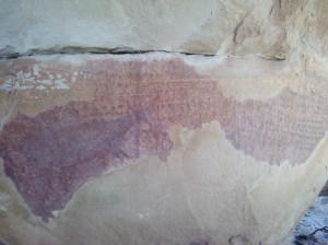 Pintures rupestres de la Balma dels Punts. L'Albi, les Garrigues