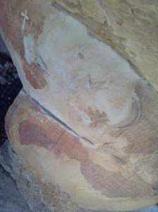 Pintures rupestres de la Balma dels Punts. L'Albi, les Garrigues