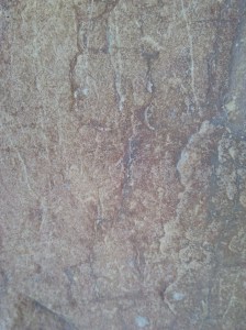 Pintures rupestres de la Balma dels Punts. L'Albi, les Garrigues