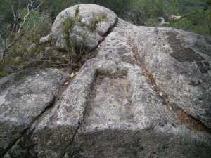 Coves de Can Nadal - Vilanova del Vallès - Céllecs - Parc de la Serralada Litoral