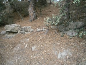 Coves de Can Nadal - Vilanova del Vallès - Céllecs - Parc de la Serralada Litoral