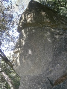 L'indi maia al Bosc màgic d'Orrius