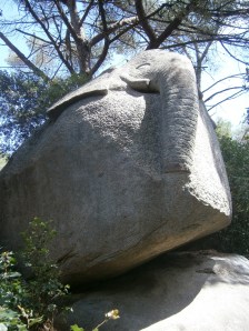 L'elefant al Bosc màgic d'Orrius