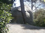L’elefant al Bosc màgic&nbsp;d’Orrius