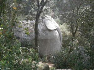 L'elefant al Bosc màgic d'Orrius