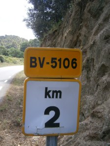 Bosc màgic d'Orrius