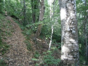 Faigs camí dels Bufadors de Beví