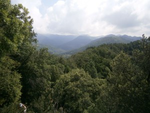 Vistes des de dalt de la Serra dels Bufadors