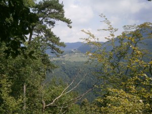 Vistes des de dalt de la Serra dels Bufadors