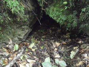 Els Bufadors de Beví